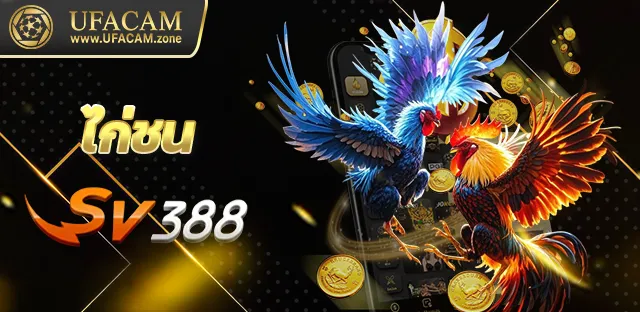 ไก่ชนUFACAM